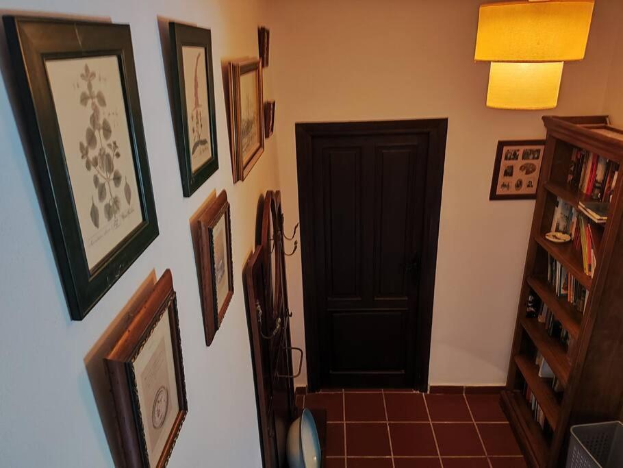 Casa En El Valle De Guainosaltos Adra Dış mekan fotoğraf