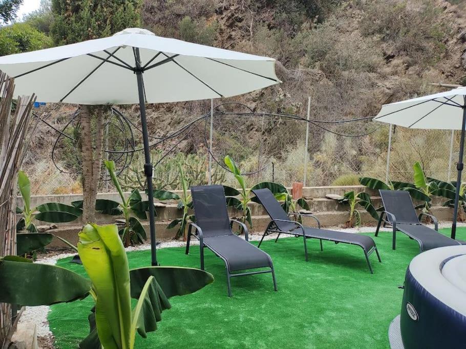 Casa En El Valle De Guainosaltos Adra Dış mekan fotoğraf